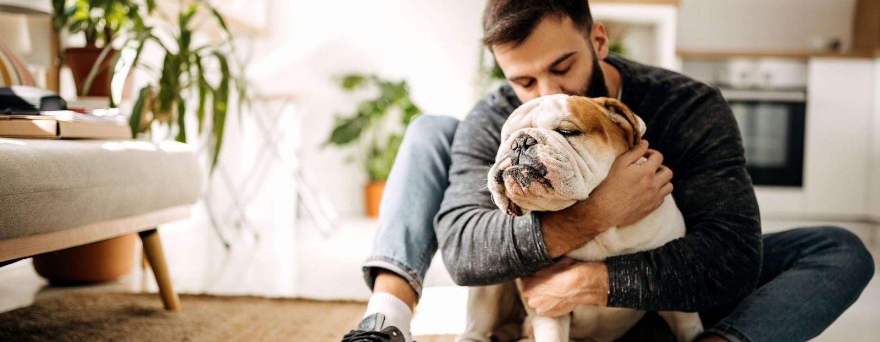 a person holding a dog