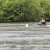 a person rowing a boat